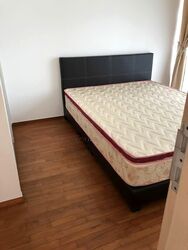 Botannia (D5), Condominium #558197111
